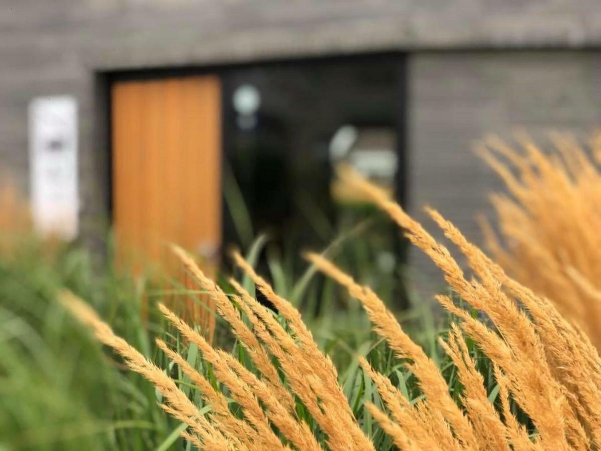 Vrijheid Van Gilze Bed & Breakfast Dış mekan fotoğraf