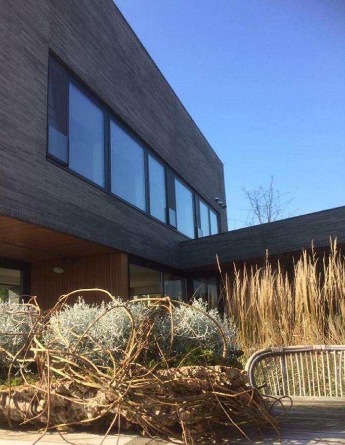 Vrijheid Van Gilze Bed & Breakfast Dış mekan fotoğraf
